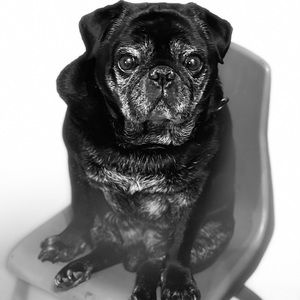 Meet your Posher, Rita